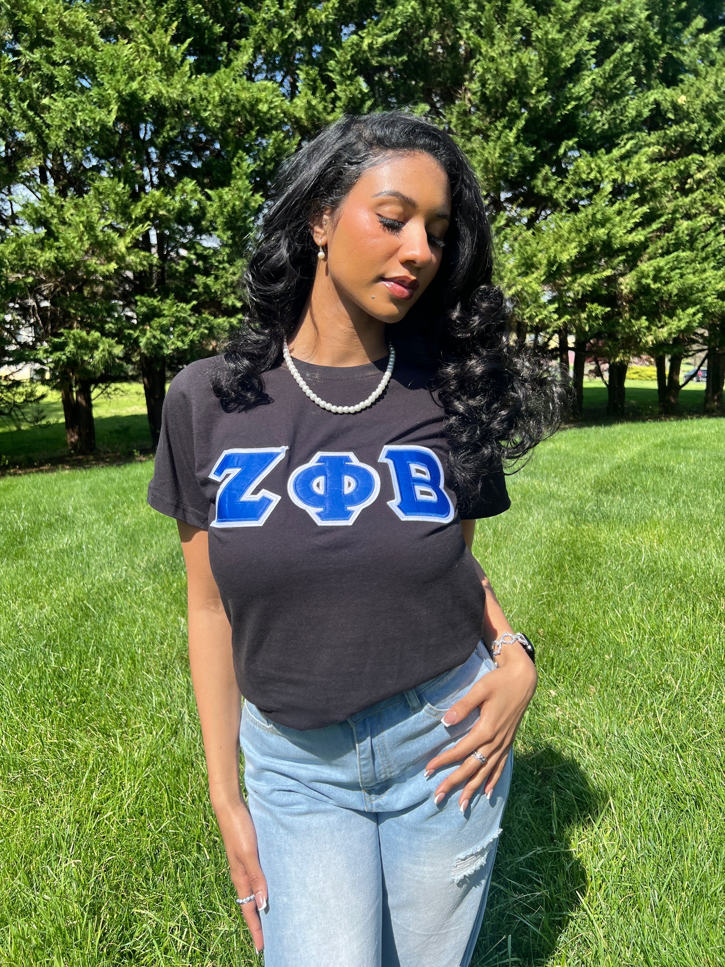 Zeta Phi Beta Greek Letter T-shirt Blue | Black (Unisex)