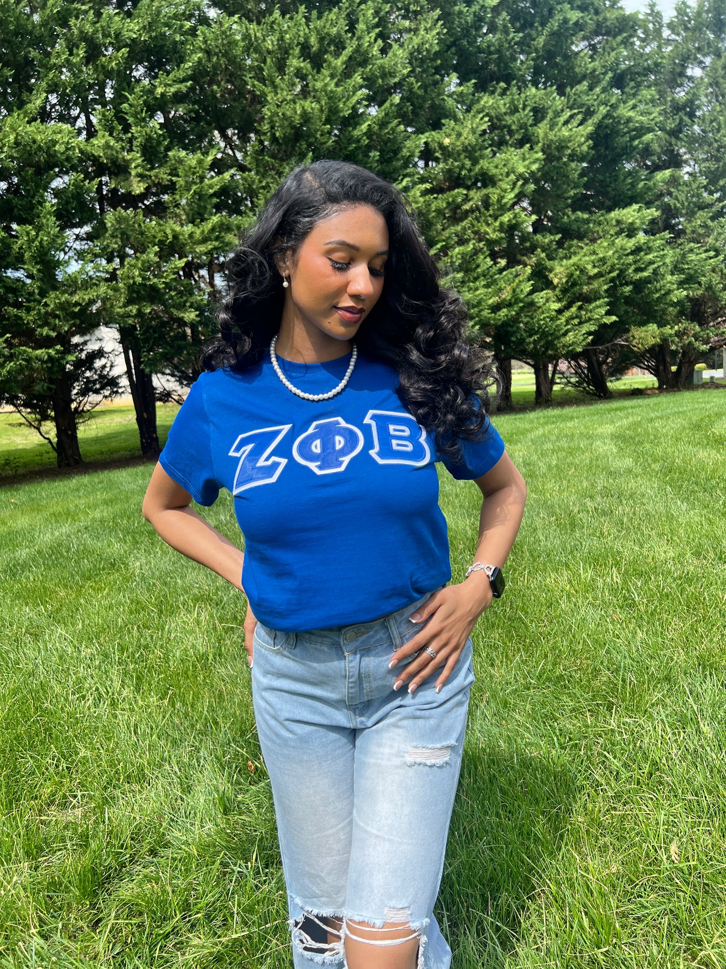 Zeta Phi Beta Greek Letter T-shirt Blue | Black (Unisex)
