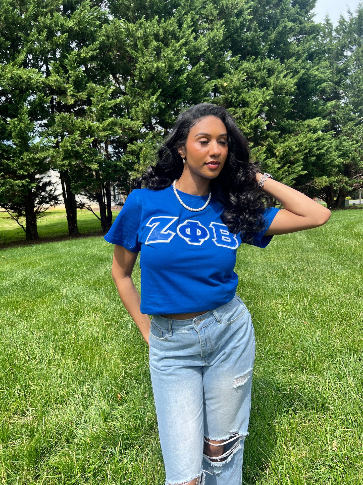 Zeta Phi Beta Greek Letter T-shirt Blue | Black (Unisex)