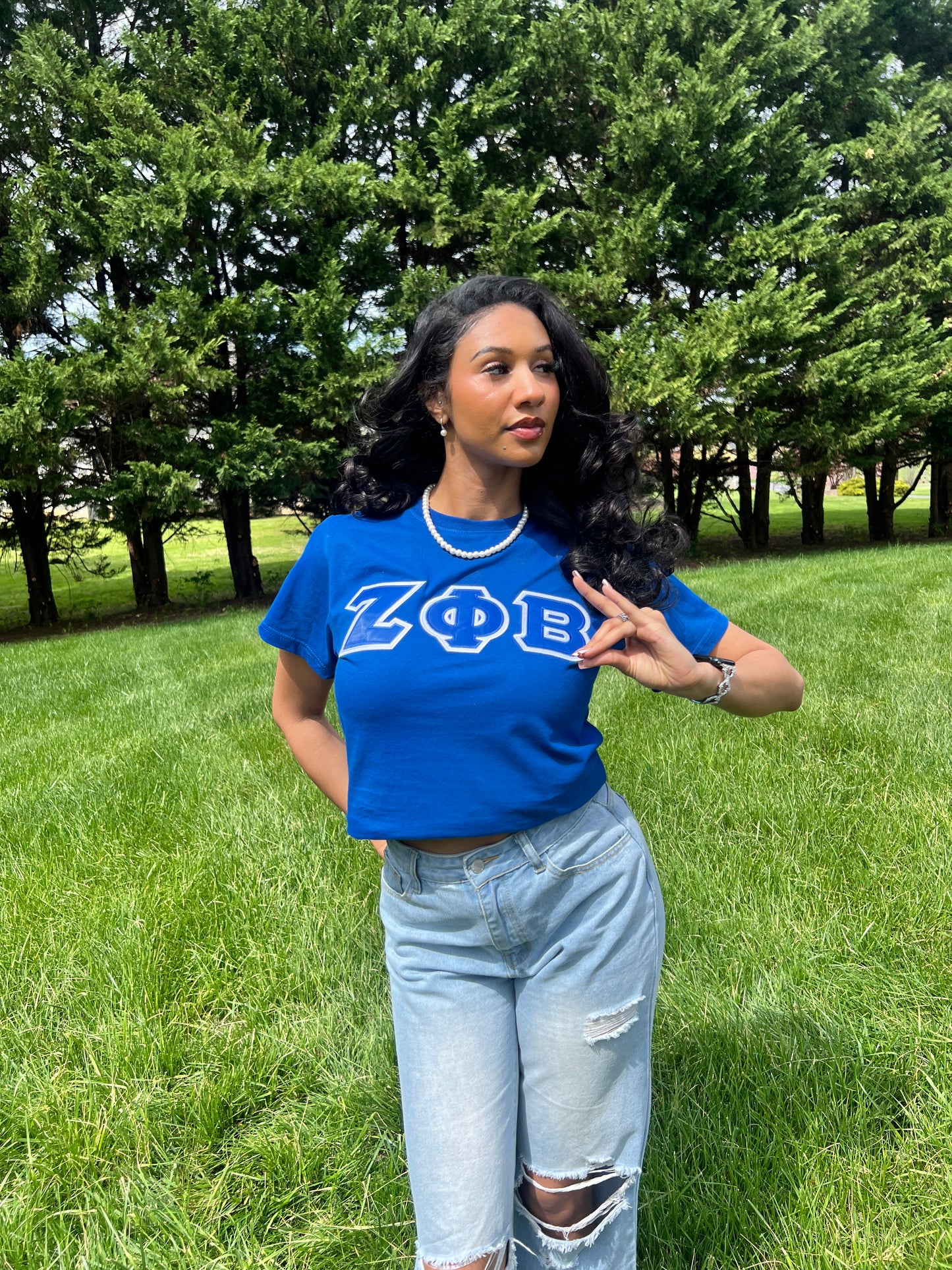Zeta Phi Beta Greek Letter T-shirt Blue | Black (Unisex)
