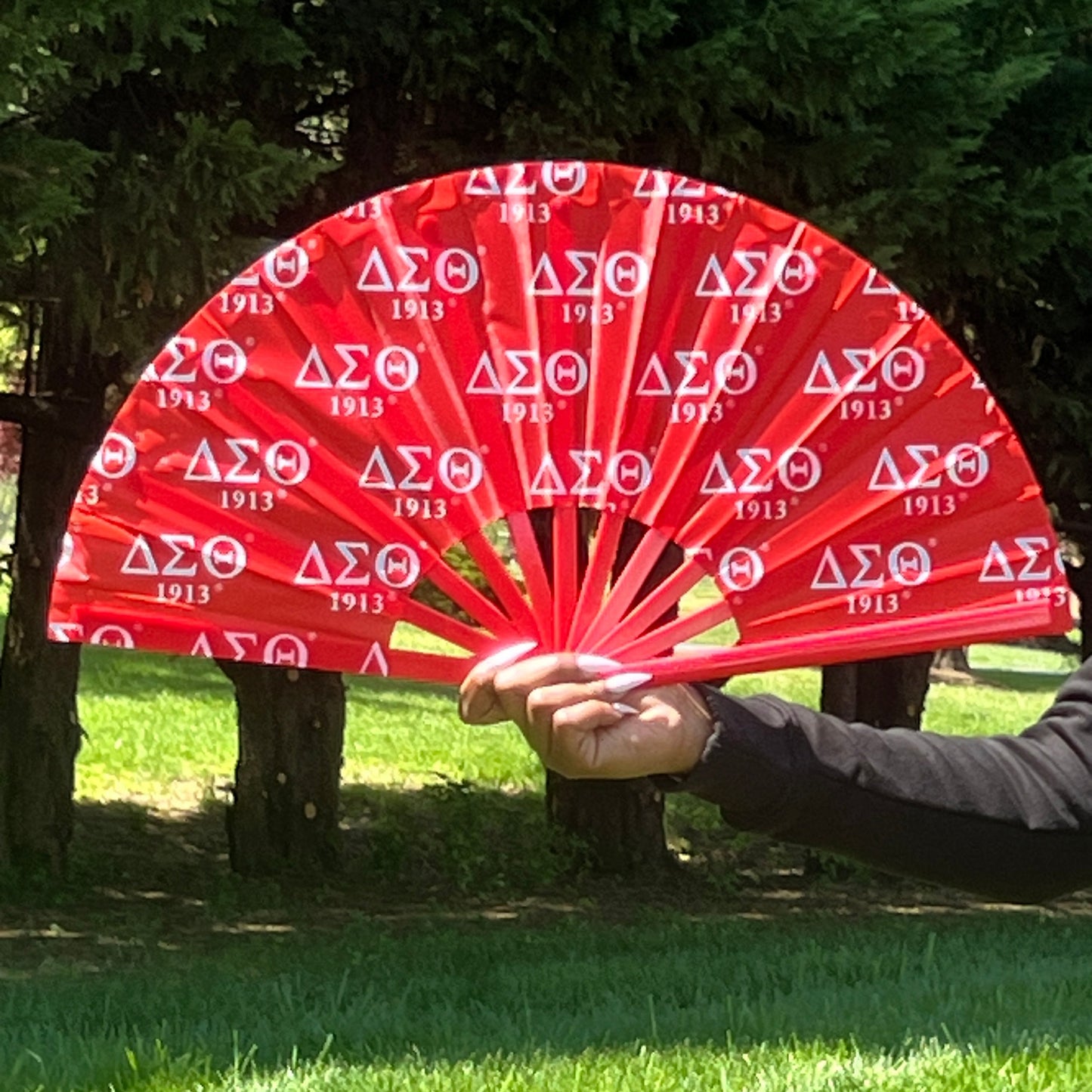 Delta Sigma Theta Fan