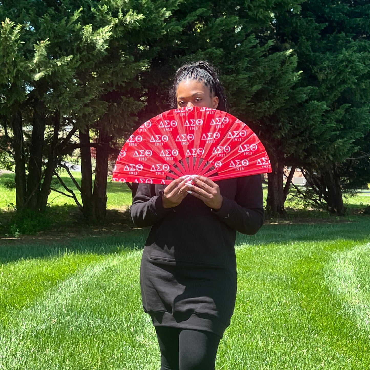 Delta Sigma Theta Fan
