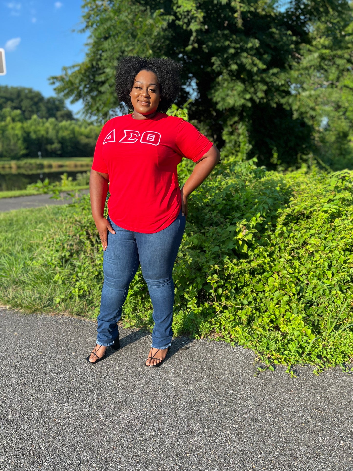 Delta Sigma Theta Greek Letter T-shirt