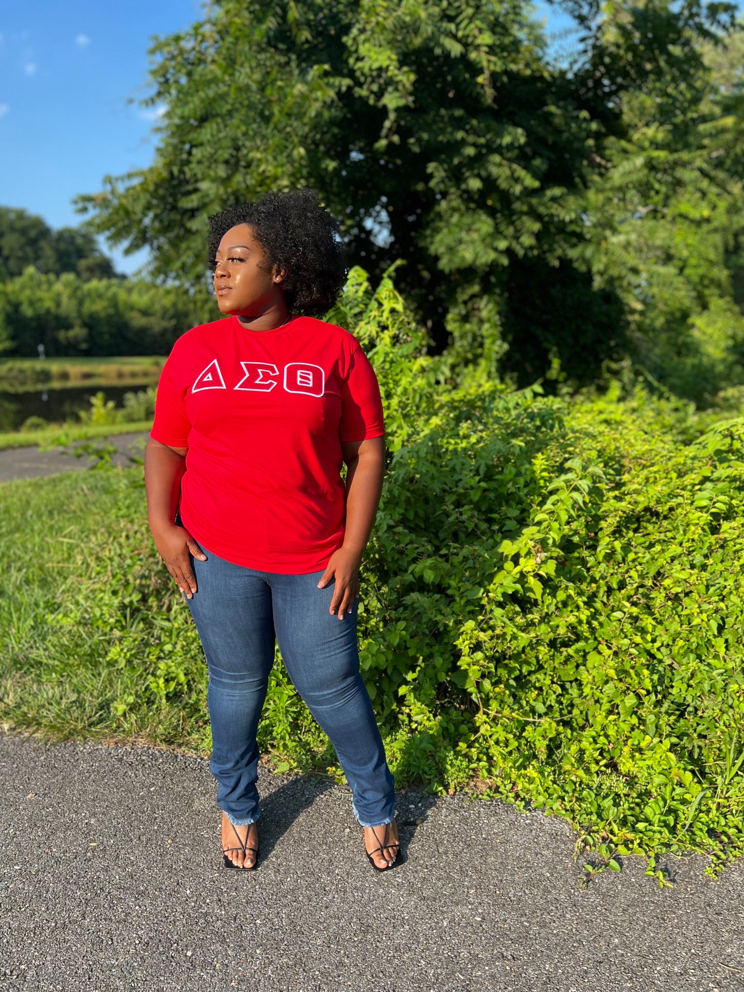 Delta Sigma Theta Greek Letter T-shirt