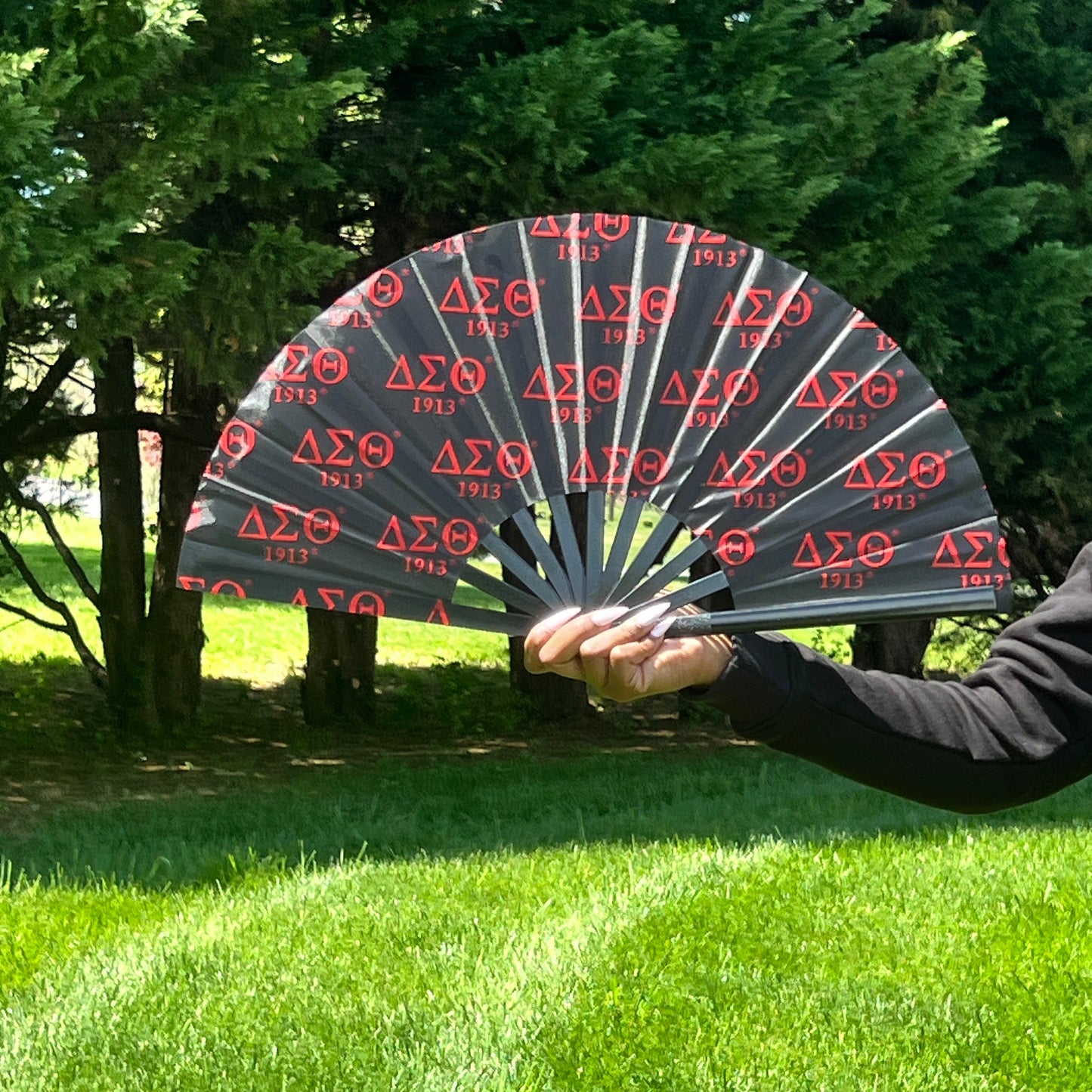 Delta Sigma Theta Fan
