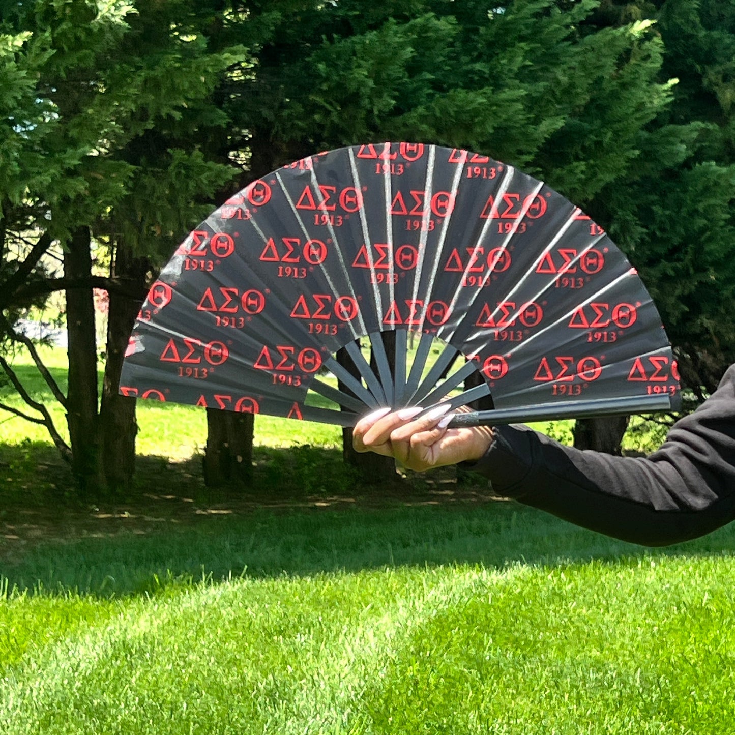 Delta Sigma Theta Fan