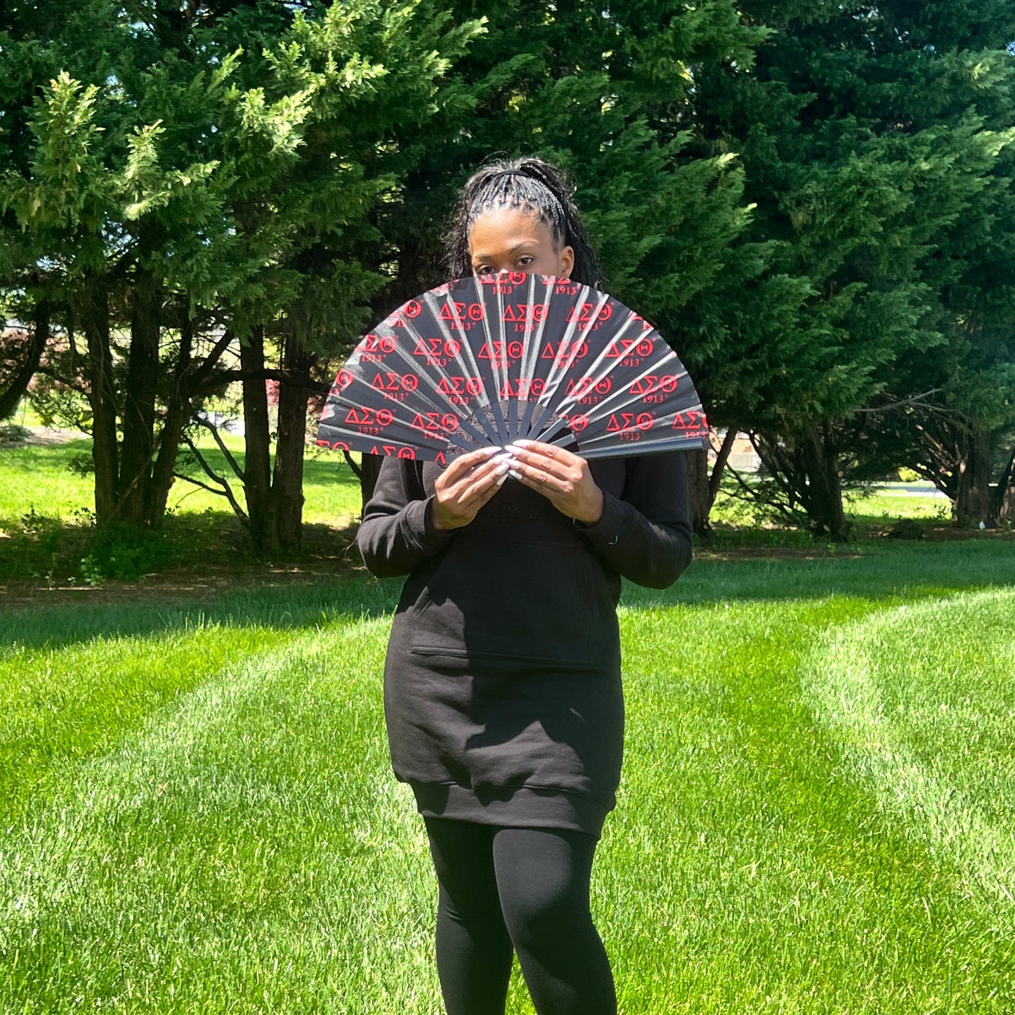 Delta Sigma Theta Fan